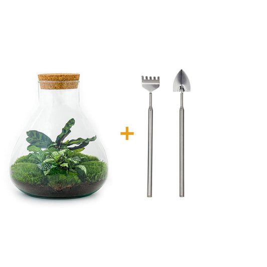 Flaschengarten - Sammie - Rake + Shovel - Pflanzfix24.de - Pflanzfix24.de