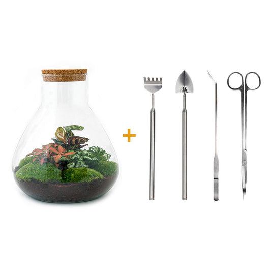 Flaschengarten - Sam XL Rot - ↕ 35 cm - Rake + Shovel + Tweezer + Scissors bei Pflanzfix24.de - Pflanzfix24.de