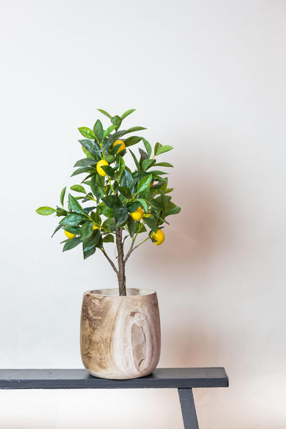 Kunst-Zitronenbaum Citrus Limonia 72 cm – Pflanzfix24.de - Pflanzfix24.de