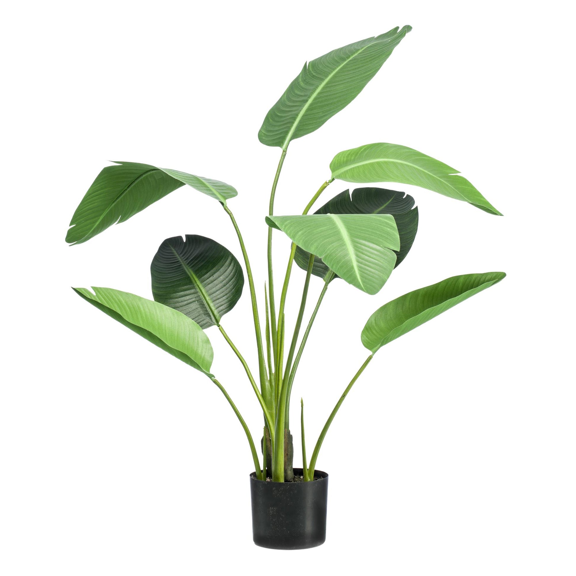 Kunstpflanze Strelitzia Nicolai 120 cm – Paradiesvogelblume | Pflanzfix24.de - Pflanzfix24.de