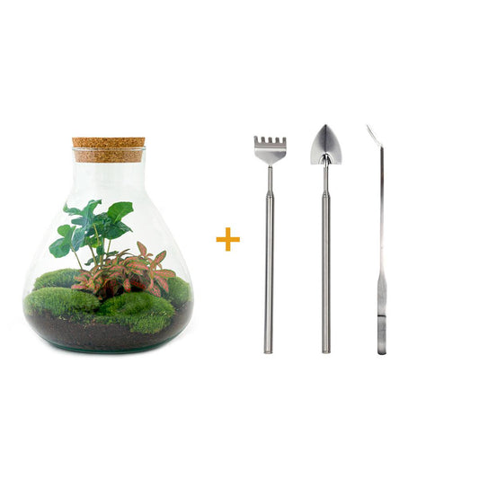 Flaschengarten - Sammie Coffea - ↕ 26 cm - Rake + Shovel + Tweezer - Pflanzfix24.de - Pflanzfix24.de