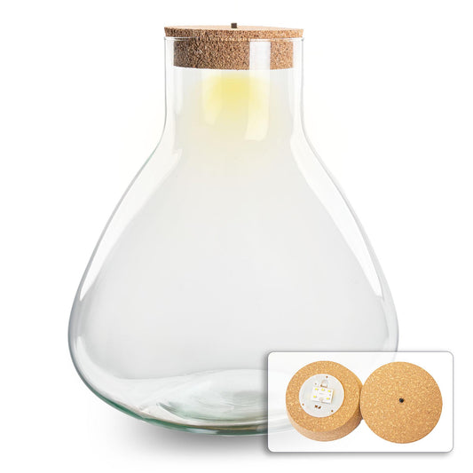 Terrarium-Flasche Erlenmeyer XL 32cm mit LED-Kork | Pflanzfix24.de - Pflanzfix24.de
