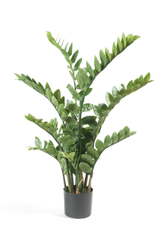 Kunst-Zamioculcas (Zimmerpalme) 110 cm – Pflegeleichte Deko | Pflanzfix24.de - Pflanzfix24.de