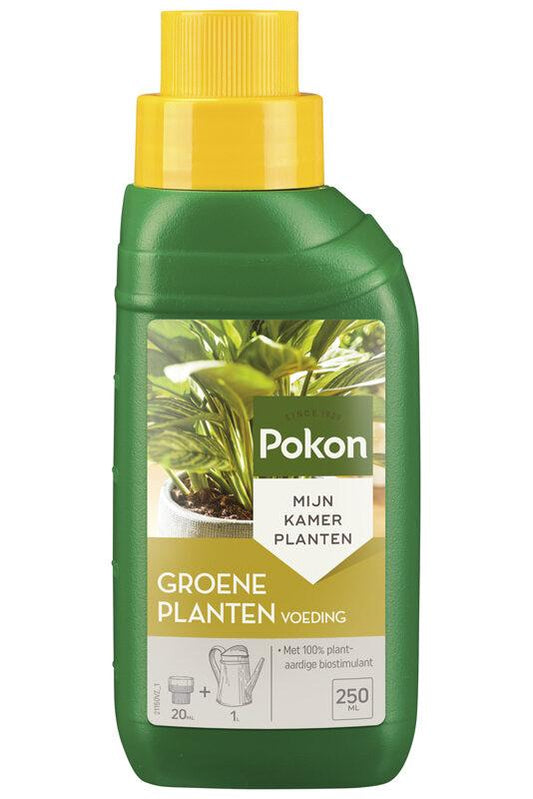 Grüne Pflanzennahrung - 250ML | Pflanzfix24.de - Pflanzfix24.de