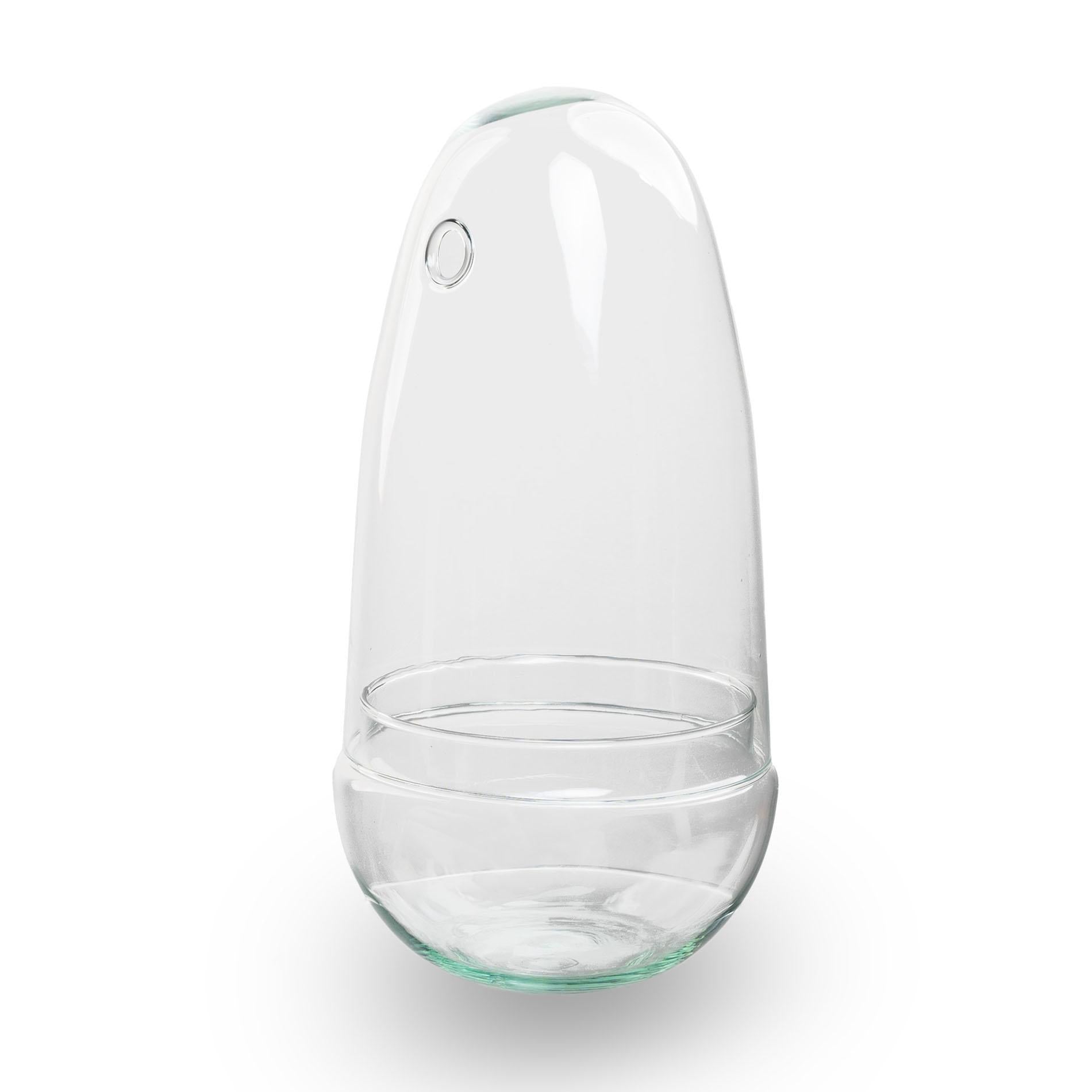Bolglas Terrarium - 26 cm - Pflanzfix24.de - Pflanzfix24.de