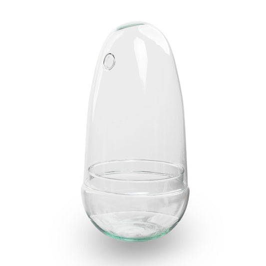 Bolglas Terrarium - 26 cm - Pflanzfix24.de - Pflanzfix24.de