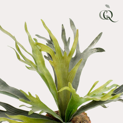 Kunst-Staghorn Farn 50 cm – Geweihfarn | Pflanzfix24.de - Pflanzfix24.de