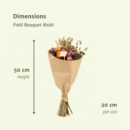 Trockenblumen Feldblumenstrauß Multi Ø20cm | Pflanzfix24.de - Pflanzfix24.de