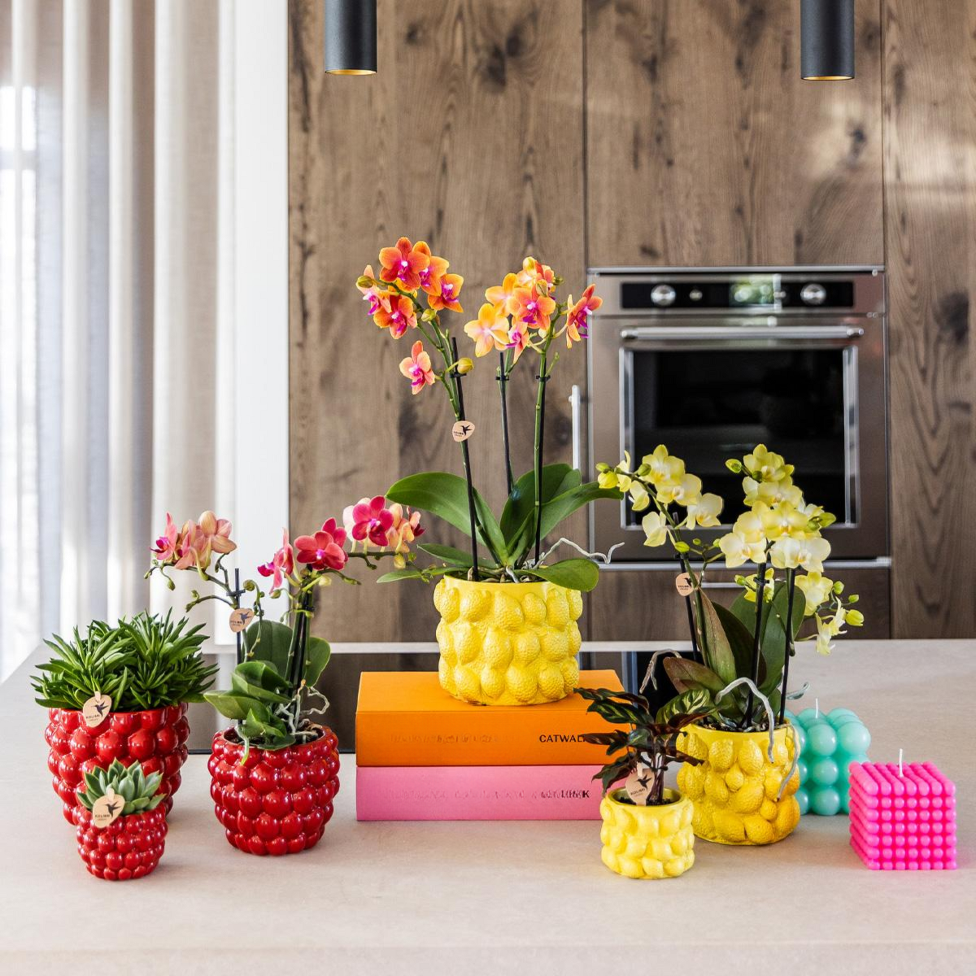 Berry Blumentopf Rot Ø12cm – Großer Keramik-Ziertopf mit Beerenstruktur | Pflanzfix24.de - Pflanzfix24.de