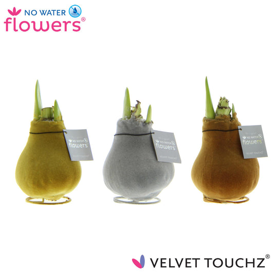 No Water Flowers Velvet Touchz Metallic Mix - 3 Stücke - Ø7 cm - ↕15 cm bei Pflanzfix24
