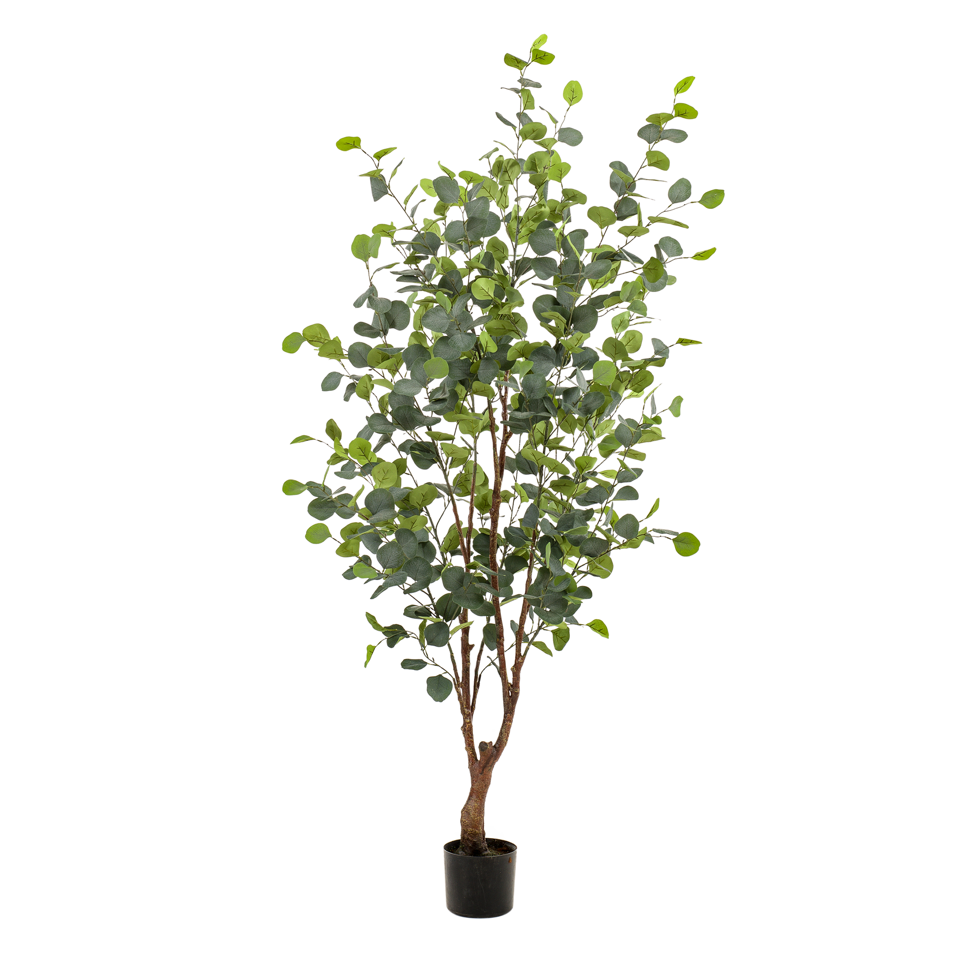 Eucalyptusbaum Kunstpflanze 140cm – Blauer Gummibaum | Pflanzfix24.de - Pflanzfix24.de