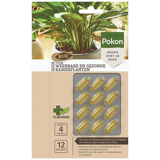 Bio Cure für widerstandsfähige und gesunde Zimmerpflanzen Kapseln - 12 Stück - Pflanzfix24.de - Pflanzfix24.de