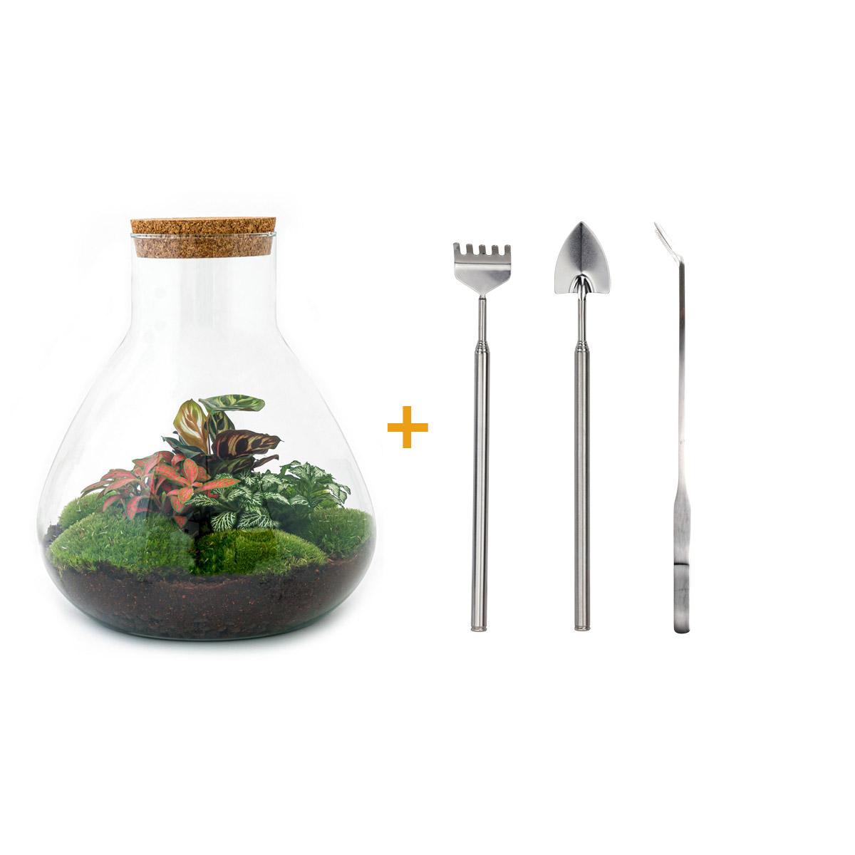 Flaschengarten - Sam XL Rot - ↕ 35 cm - Rake + Shovel + Tweezer - Pflanzfix24.de - Pflanzfix24.de
