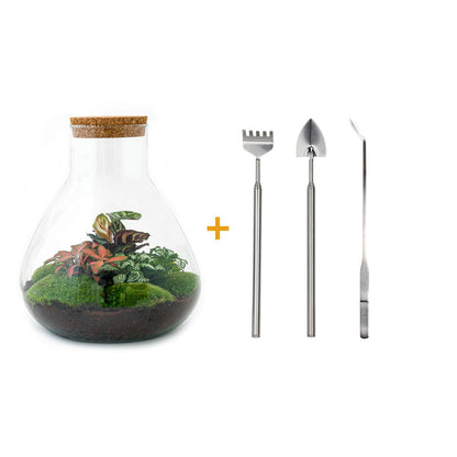 Flaschengarten - Sam XL Rot - ↕ 35 cm - Rake + Shovel + Tweezer - Pflanzfix24.de - Pflanzfix24.de