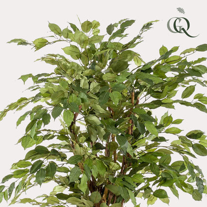 Kunst-Ficus Liana 170 cm – Realistische Deko | Pflanzfix24.de - Pflanzfix24.de