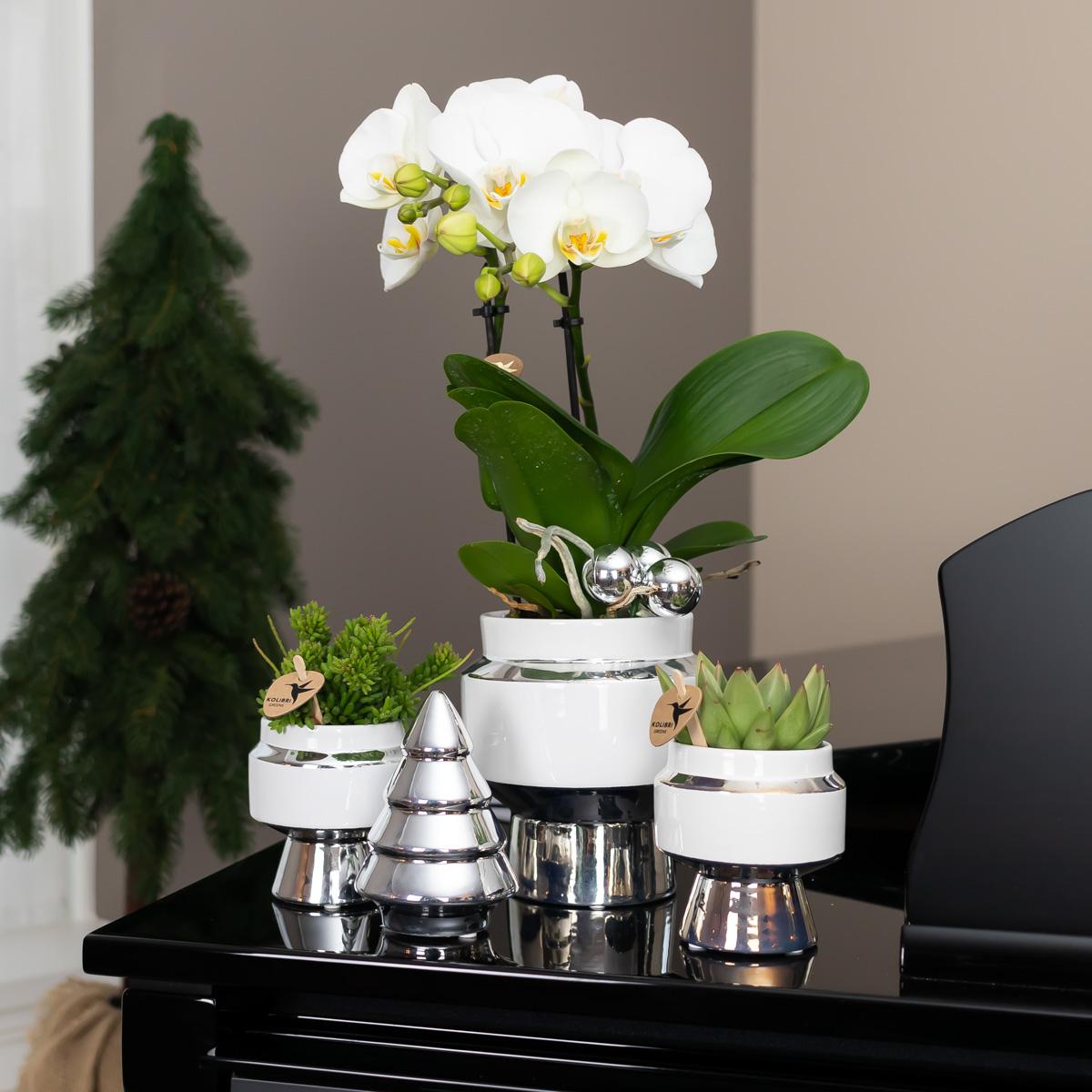 Kolibri Home Le Chic Blumentopf Weiß Ø6cm mit Silber – Keramik | Pflanzfix24.de - Pflanzfix24.de