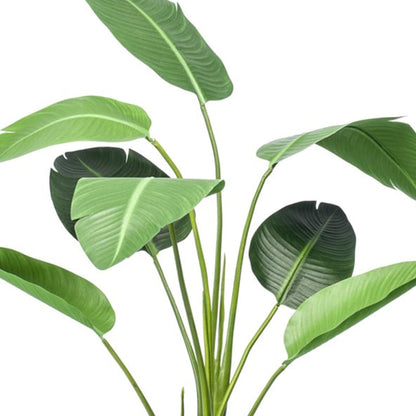 Strelitzia - 120cm - In zwarte pot - Kunstplant | Pflanzfix24