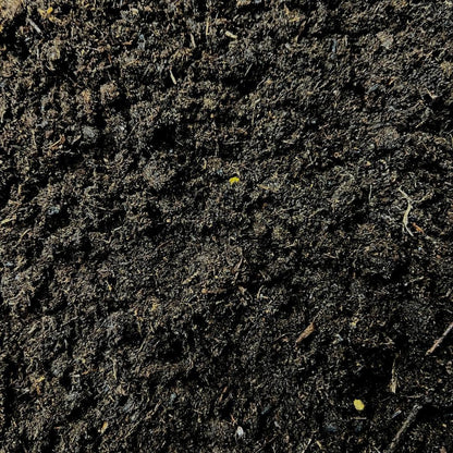 Culvita - Blumenerde Spezial mit 6 Monaten Düngung 40 Liter - Premium Erde für Zimmer- & Gartenpflanzen - inkl. EasyCoat Pflanzendünger - Pflanzfix24.de - Pflanzfix24.de