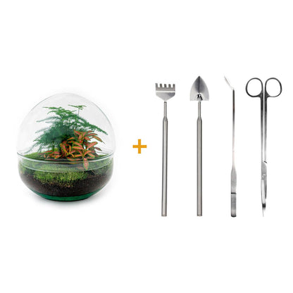 DIY Flaschengarten - Dome Rot - 20 cm - Pflanzfix24.de - Pflanzfix24.de