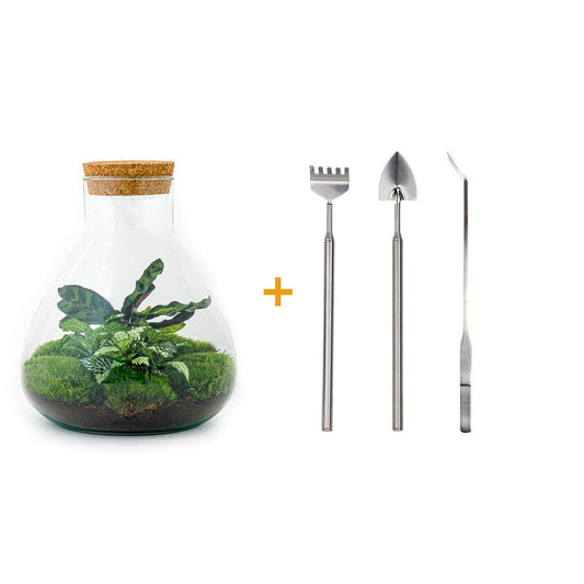 Flaschengarten - Sammie - DIY-Set - Pflanzfix24.de - Pflanzfix24.de