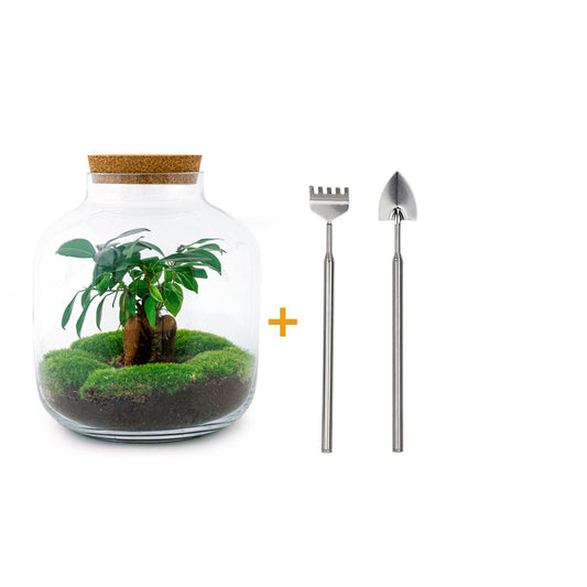 Flaschengarten - Billie - DIY Terrarium Set - Pflanzfix24
