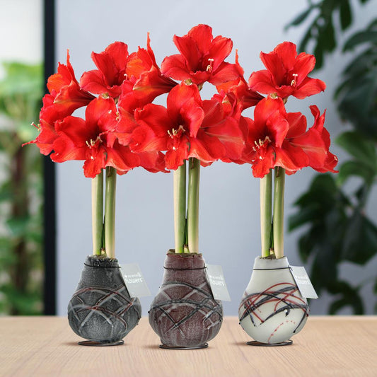 No Water Flowers® Waxz® Art van Gogh Mix (3 pack) + Red flower - Pflanzfix24