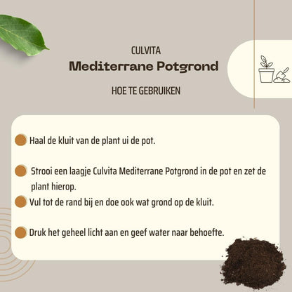 Culvita - Mediterrane Blumenerde 40 Liter inklusive RhizoPlus - Pflanzfix24.de - Pflanzfix24.de