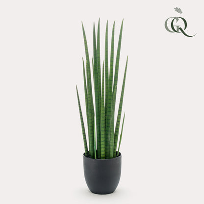 Kunst-Sansevieria Cylindrica 70 cm – Frauenzunge | Pflanzfix24.de - Pflanzfix24.de