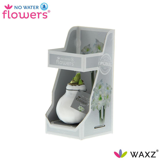 No Water Flowers Waxz® White In Gift Box - ↕15cm - Pflanzfix24