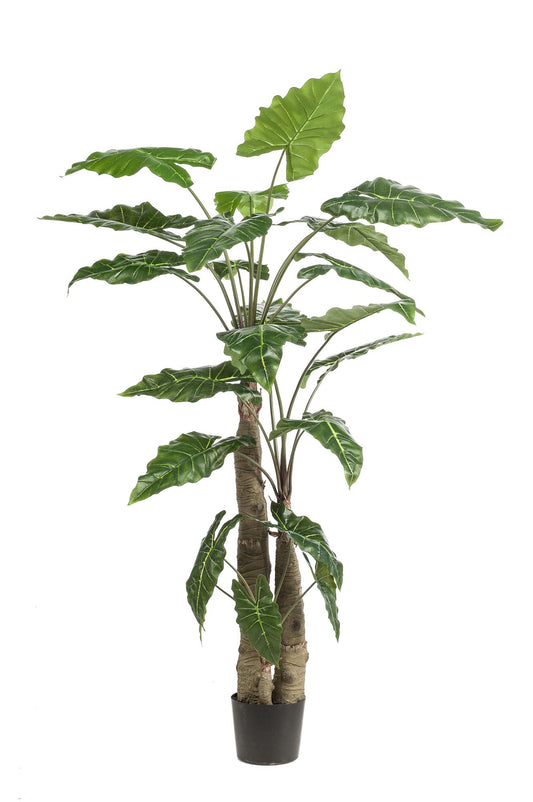 Kunst-Alocasia 180 cm – Pflanzfix24.de - Pflanzfix24.de