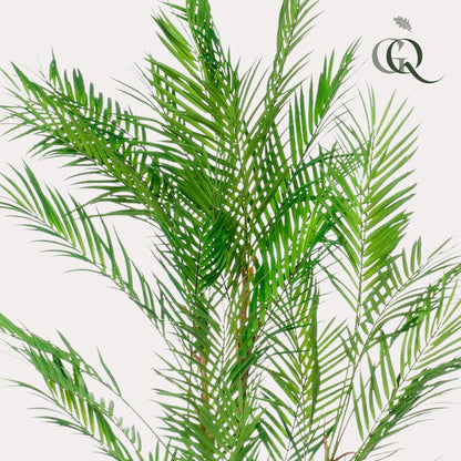 Kunstpalme Chamaedorea Elegans 120 cm – Pflanzfix24.de - Pflanzfix24.de
