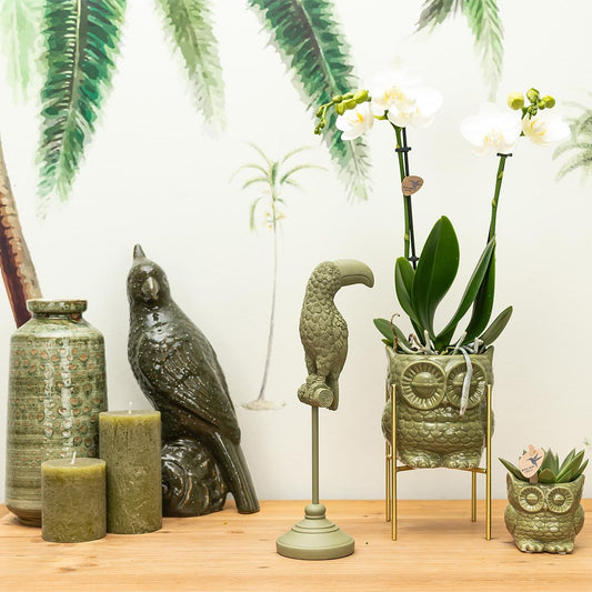 Deko-Skulptur Tukan Grün – Kolibri Home | Pflanzfix24.de - Pflanzfix24.de