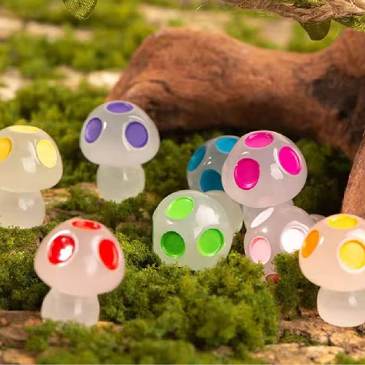 Glow in the dark - Mushrooms - Multi - ↑ 2 cm - 8 stuks - Pflanzfix24