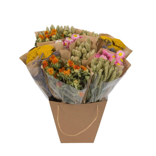 Getrocknete Blumen - Dried Mono Mix - Dutch - ↕50cm - Pflanzfix24.de - Pflanzfix24.de