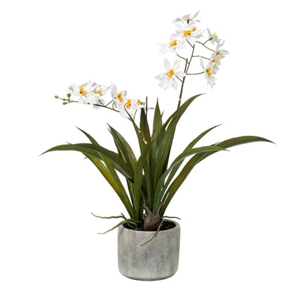 Kunstpflanze Orchidee Weiß 45 cm | Pflanzfix24.de - Pflanzfix24.de
