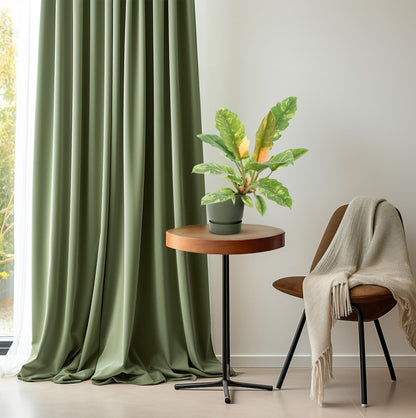Philodendron Narrow 'Ring Of Fire' P14 - Pflanzfix24