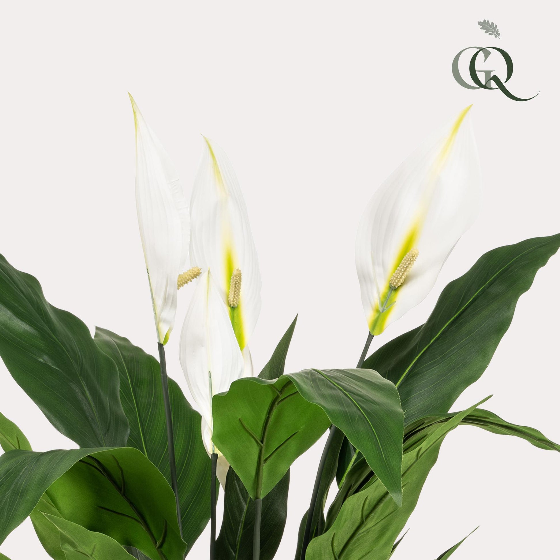 Kunstpflanze Spathiphyllum 90 cm – Lepelplant | Pflanzfix24.de - Pflanzfix24.de