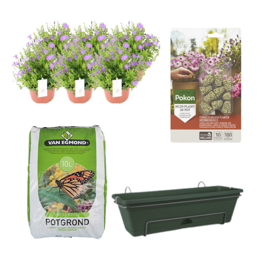 Balkonpflanzgefäß Grün DIY-Set - Campanula bei Pflanzfix24.de - Pflanzfix24.de