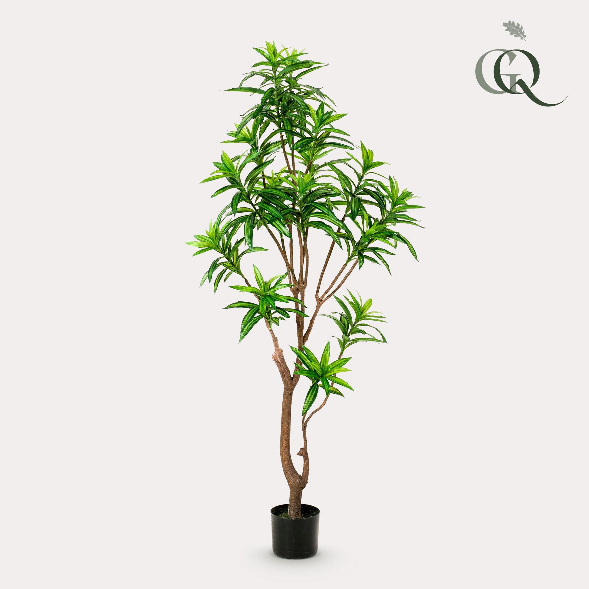 Dracaena Kunstpflanze 155cm – Drachenbaum | Pflanzfix24.de - Pflanzfix24.de