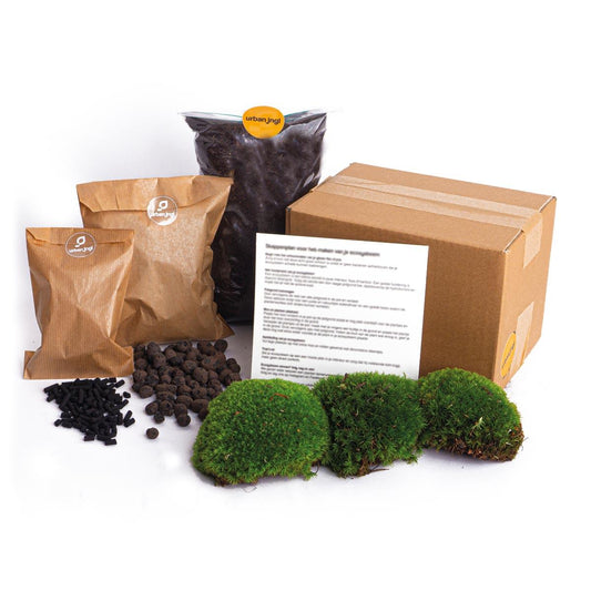Terrarium Starter- & Nachfüllpaket DIY | Pflanzfix24.de - Pflanzfix24.de