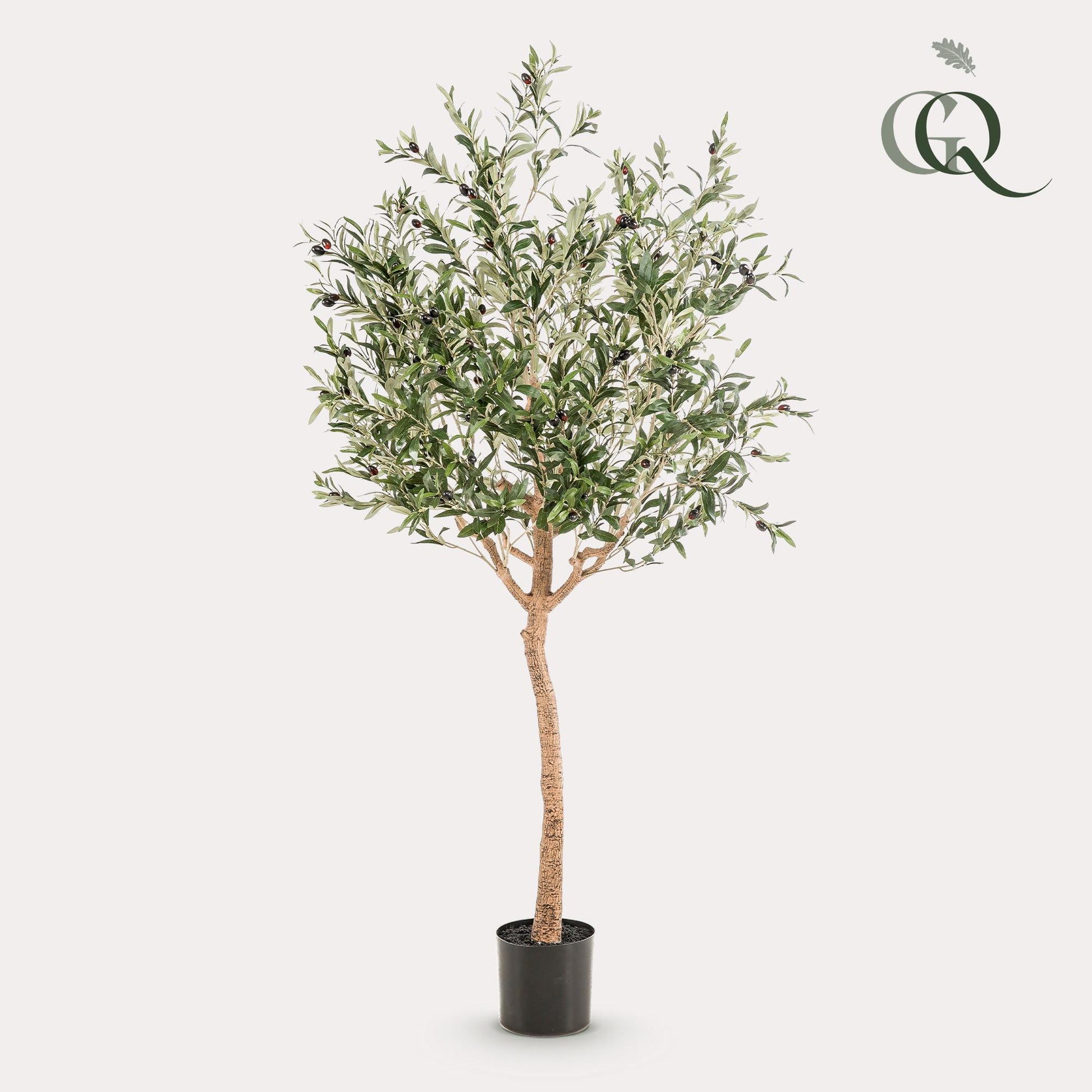 Kunstpflanze Olea europaea Olivenbaum 180 cm – Pflegeleicht & Dekorativ | Pflanzfix24.de - Pflanzfix24.de