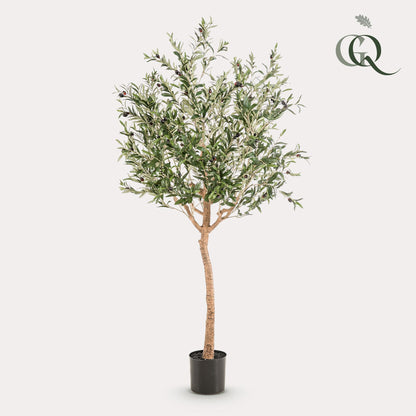 Kunstpflanze Olea europaea Olivenbaum 180 cm – Pflegeleicht & Dekorativ | Pflanzfix24.de - Pflanzfix24.de