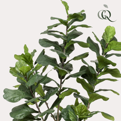 Kunstpflanze Ficus Lyrata 210 cm | Pflanzfix24.de - Pflanzfix24.de