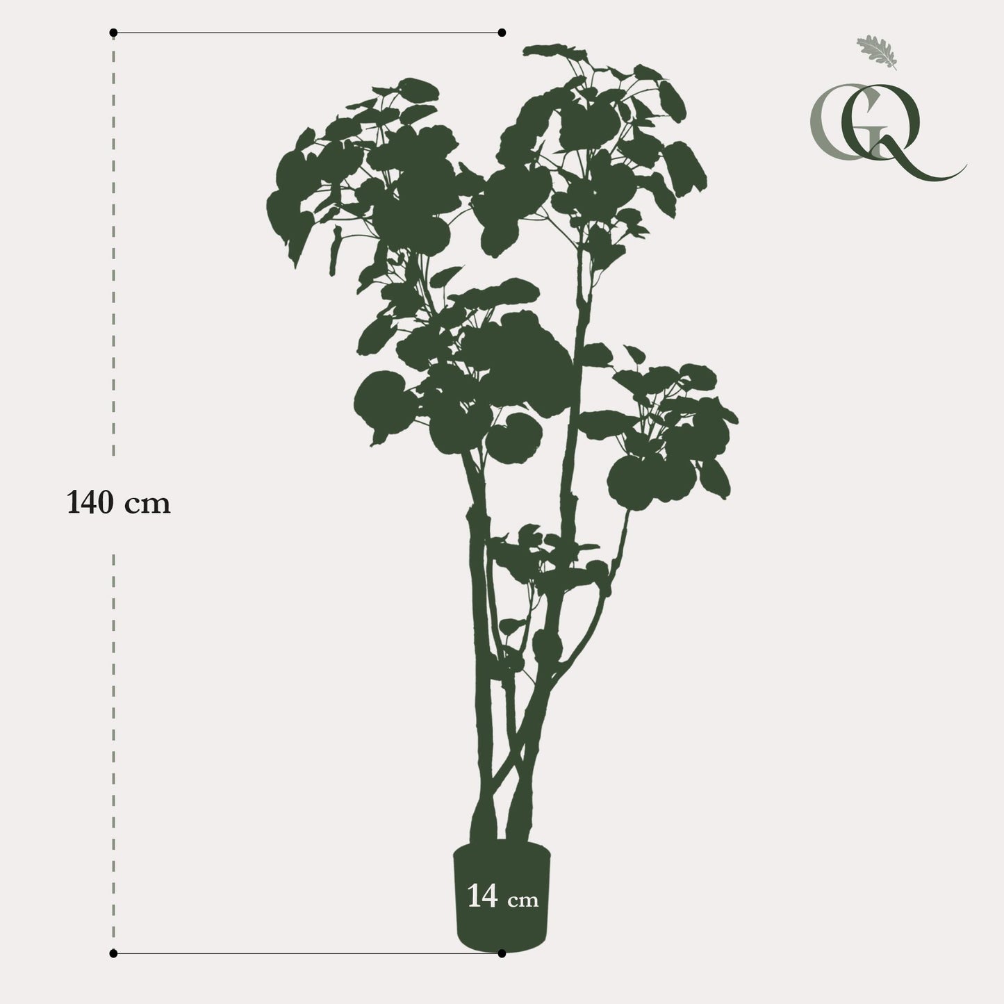 Kunstpflanze Polyscias Aralia 135 cm – Pflegeleicht & Realistisch | Pflanzfix24.de - Pflanzfix24.de