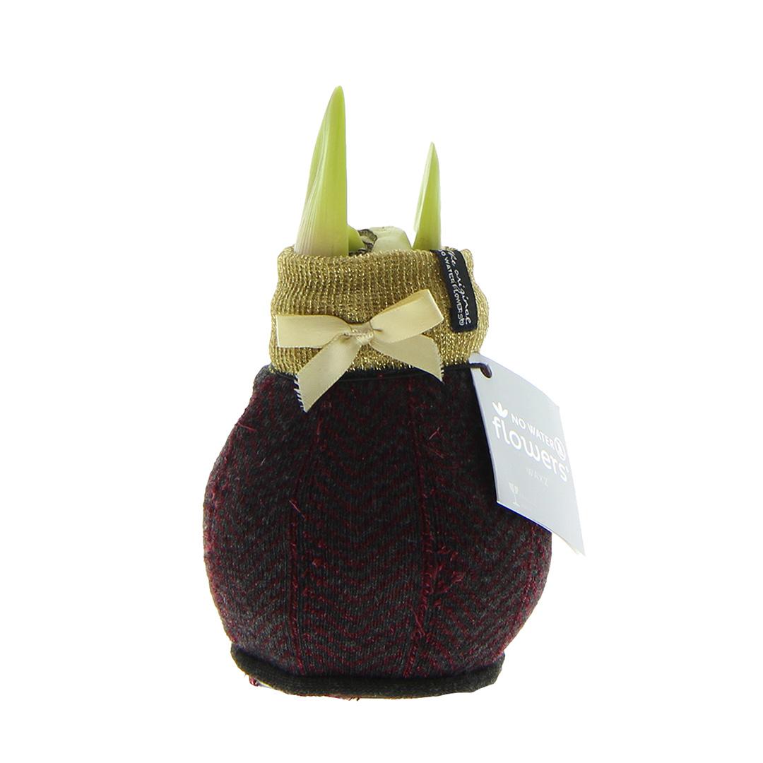 No Water Flowers® Fashionz Elegant - Bordeaux + Red flower - Pflanzfix24