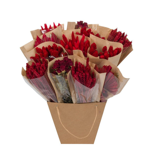 Getrocknete Blumen - Dried Mono Mix - Red - ↕50cm - Pflanzfix24.de - Pflanzfix24.de