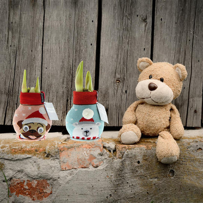 No Water Flowers® Fashionz Xmas Fun Dog & Bear Mix (2 pack) + Red flower - Pflanzfix24