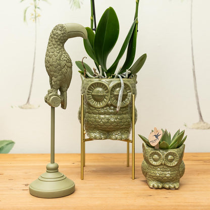Deko-Skulptur Tukan Grün – Kolibri Home | Pflanzfix24.de - Pflanzfix24.de