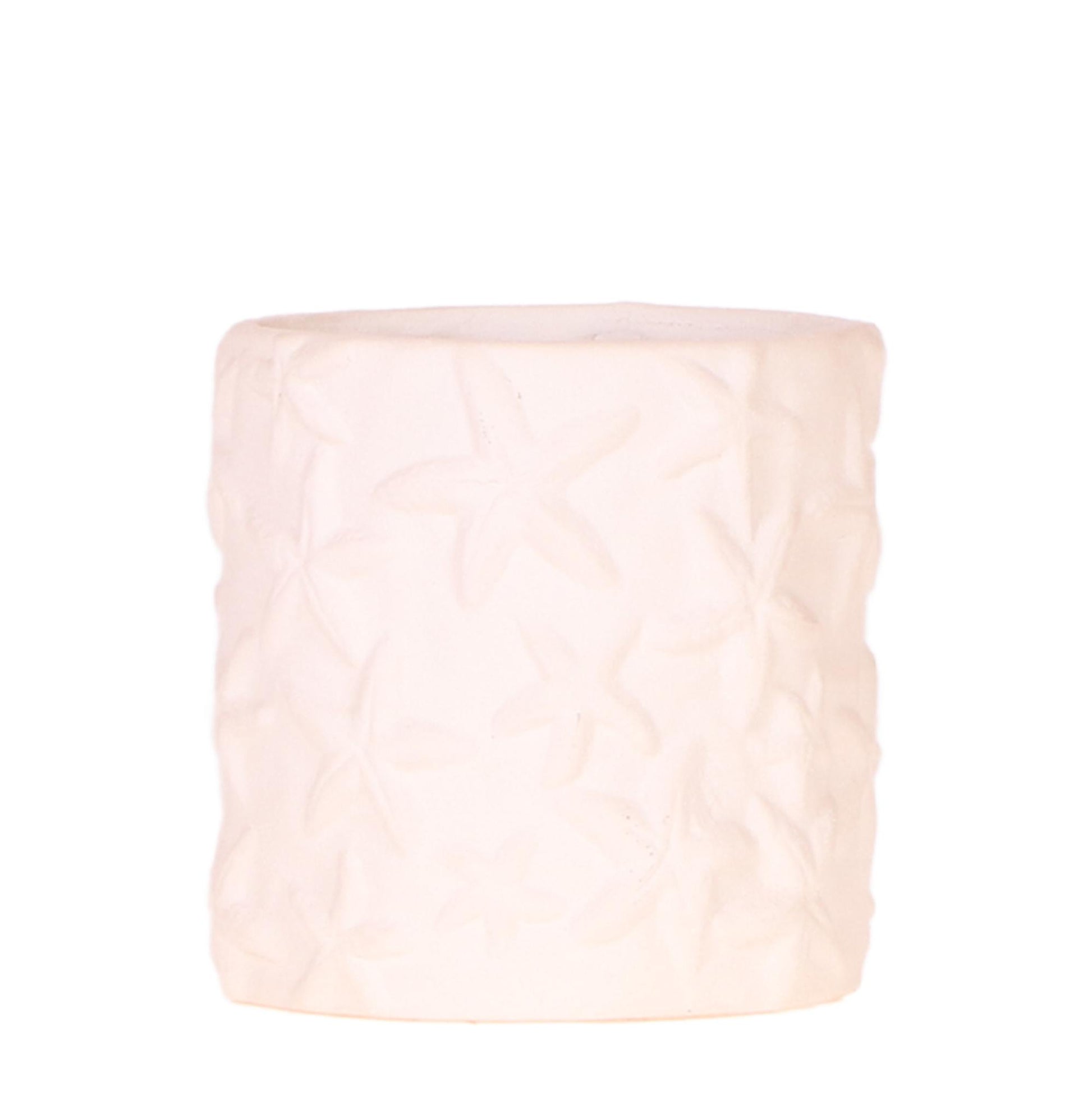 Star Fish Dekotopf Off White Ø9cm – Kolibri Home | Pflanzfix24.de - Pflanzfix24.de