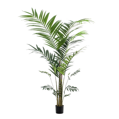 Kunstpflanze Kentia Kentiapalm 210 cm | Pflanzfix24.de - Pflanzfix24.de